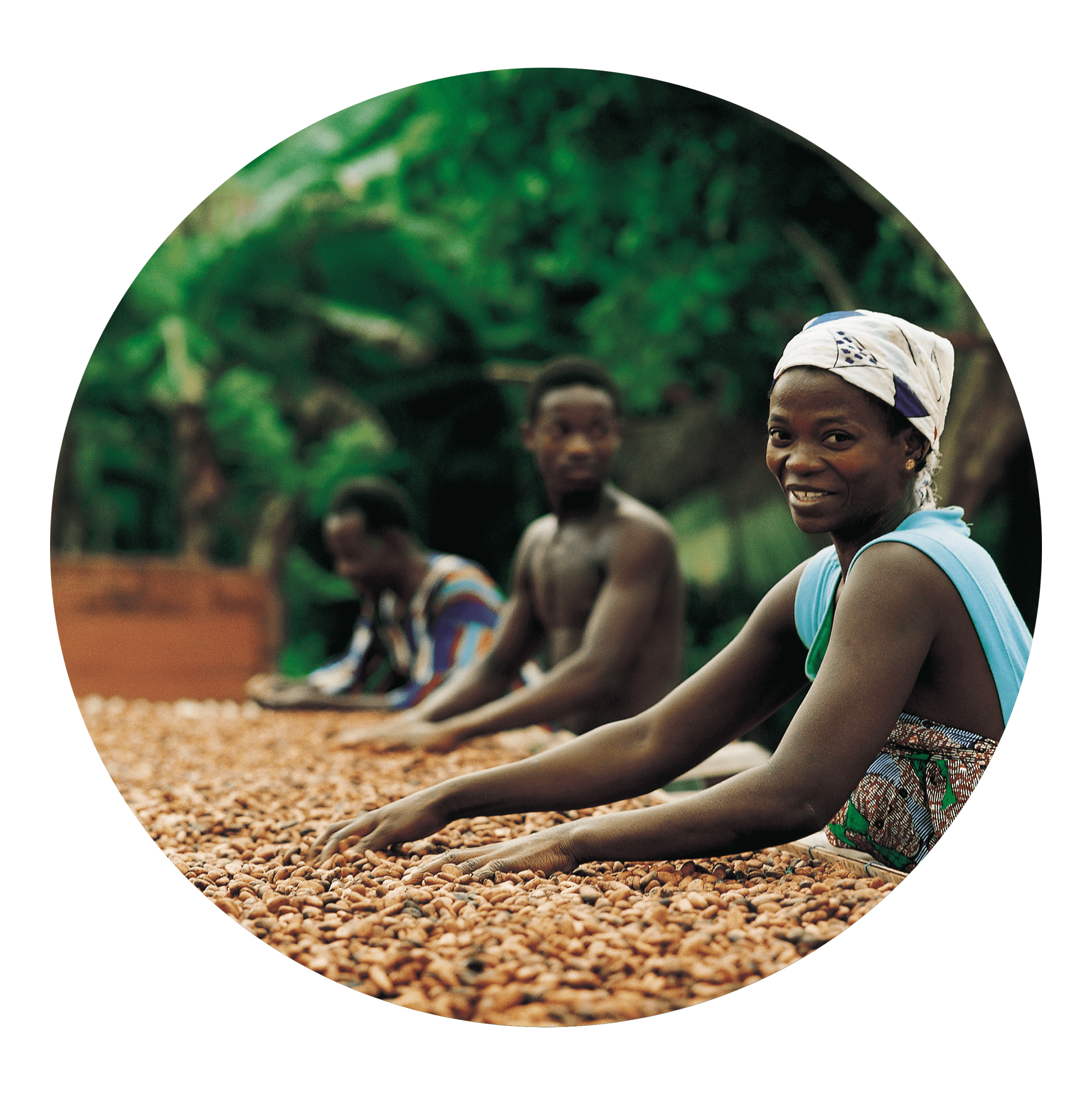Cocoa Workers