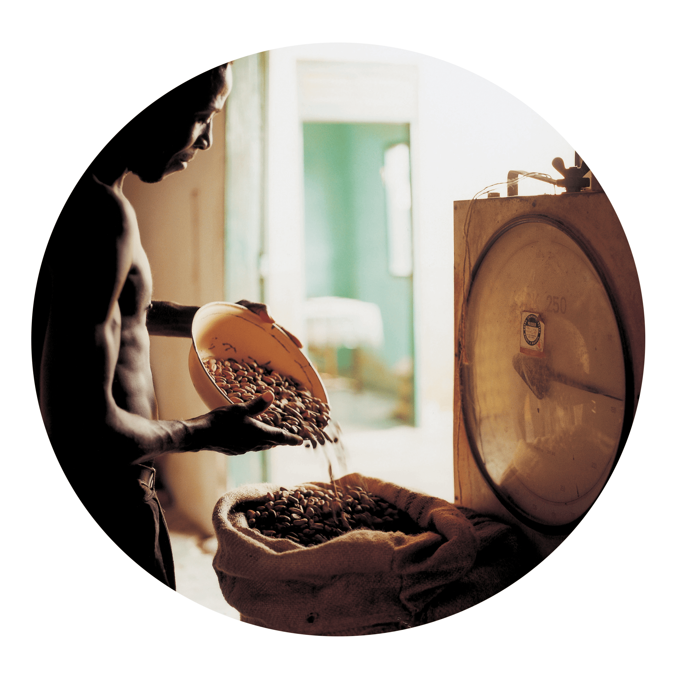 Cocoa Grading