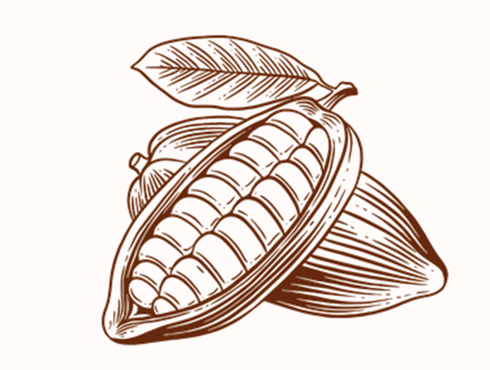 The Rise of Cocoa Butter Equivalents (CBE) in the Chocolate Industry