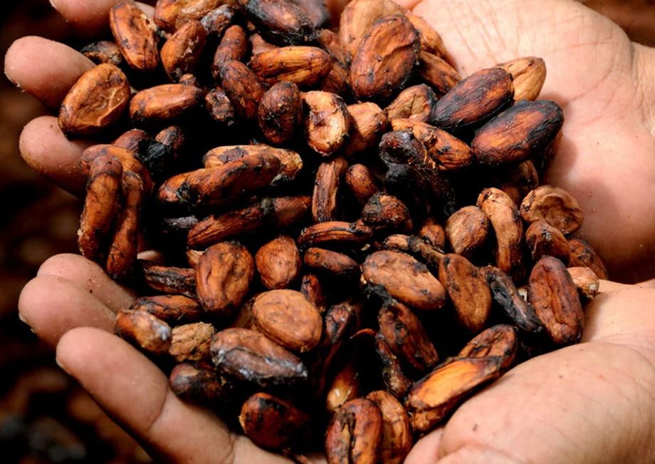 Whatâ€™s Next for Chocolate Prices?