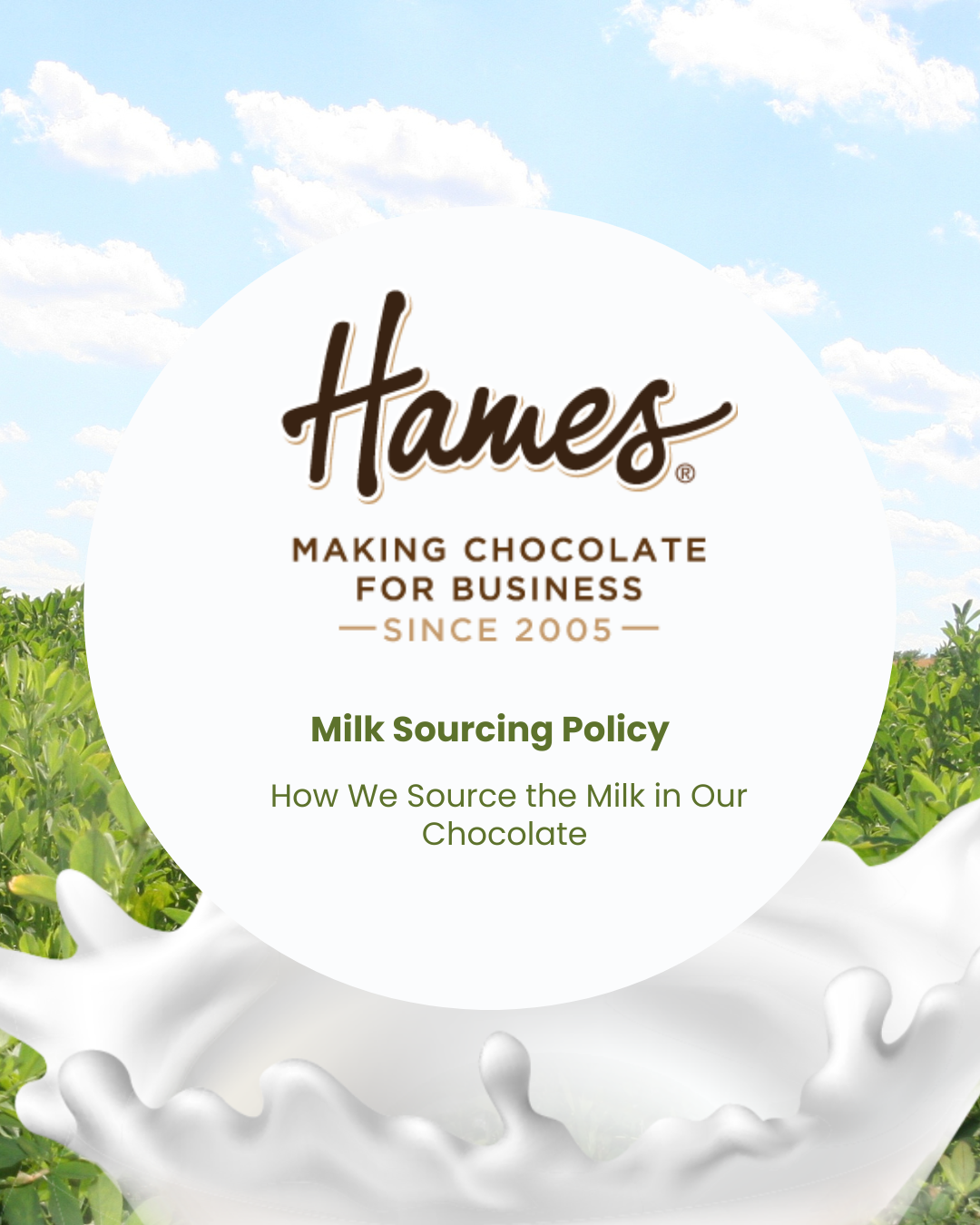 How We Source the Milk in Our Chocolate â€“ With Quality and Responsibility in Mind