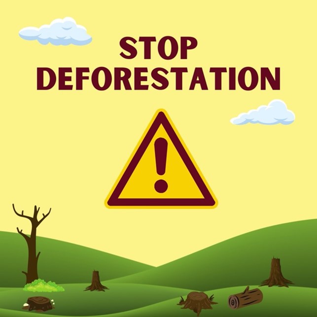 What is EUDR and How Does It Affect the Chocolate Industry?