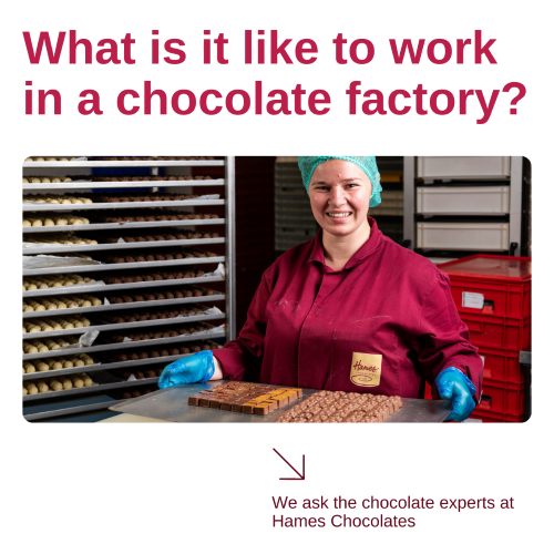 Chocolate Factory Worker