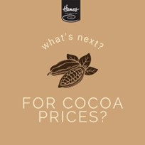 What's Next for Cocoa Prices? Insights from a Chocolate Manufacturer