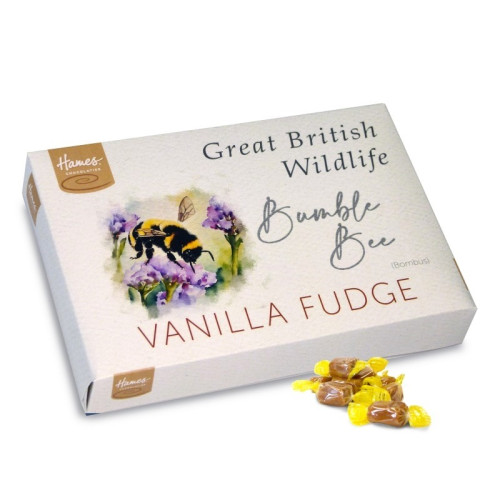 Boxed Fudge