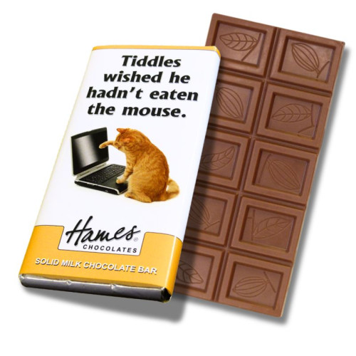 Animals with Attitude - 60g Milk Chocolate Bar Wrapped in Silver Foil Finished with a Themed Chuckle Cat Wrapper