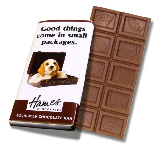 Animals with Attitude - 60g Milk Chocolate Bar Wrapped in Silver Foil Finished with a Themed Chuckle Dog Wrapper