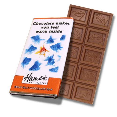 Animals with Attitude - 60g Milk Chocolate Bar Wrapped in Silver Foil Finished with a Themed Chuckle Goldfish Wrapper