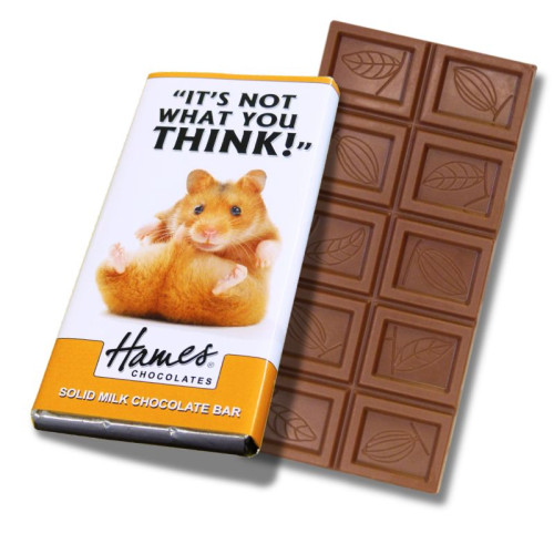 Animals with Attitude - 60g Milk Chocolate Bar Wrapped in Silver Foil Finished with a Themed Chuckle Hamster 'Not What You Think' Wrapper