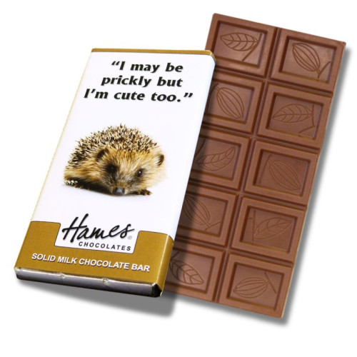 Animals with Attitude - 60g Milk Chocolate Bar Wrapped in Silver Foil Finished with a Themed Chuckle Hedgehog Wrapper