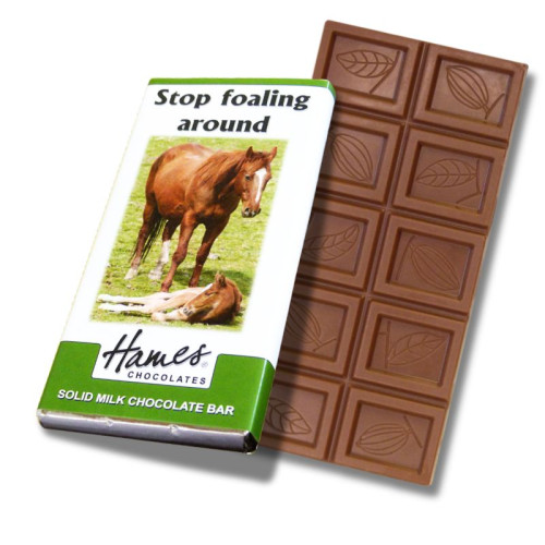 Animals with Attitude - 60g Milk Chocolate Bar Wrapped in Silver Foil Finished with a Themed Chuckle Horse Wrapper