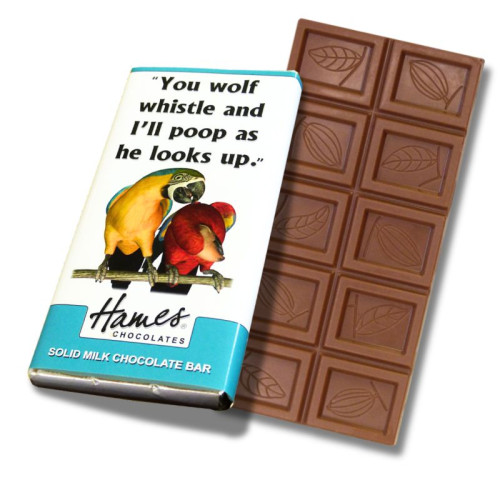 Animals with Attitude - 60g Milk Chocolate Bar Wrapped in Silver Foil Finished with a Themed Chuckle Parrot Wrapper