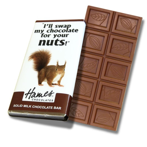 Animals with Attitude - 60g Milk Chocolate Bar Wrapped in Silver Foil Finished with a Themed Chuckle Squirrel Wrapper