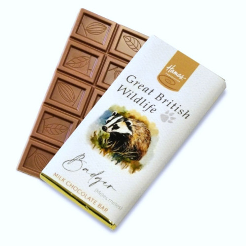 Great British Wildlife RA MB Milk Chocolate 60g Bar Wrapped in Gold Foil with a Badger Watercolour Design