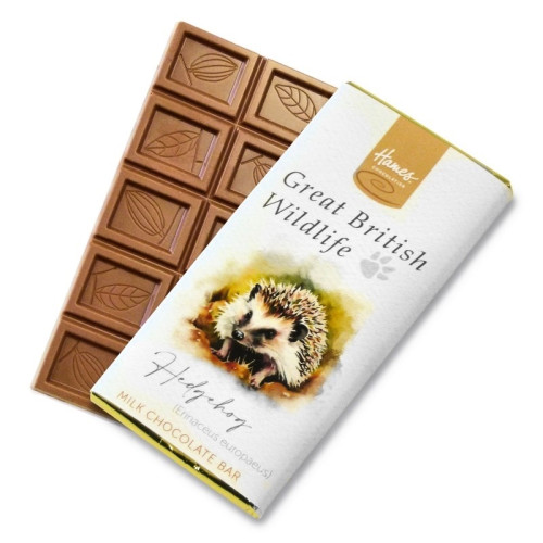 Great British Wildlife RA MB Milk Chocolate 60g Bar Wrapped in Gold Foil with a Hedgehog Watercolour Design
