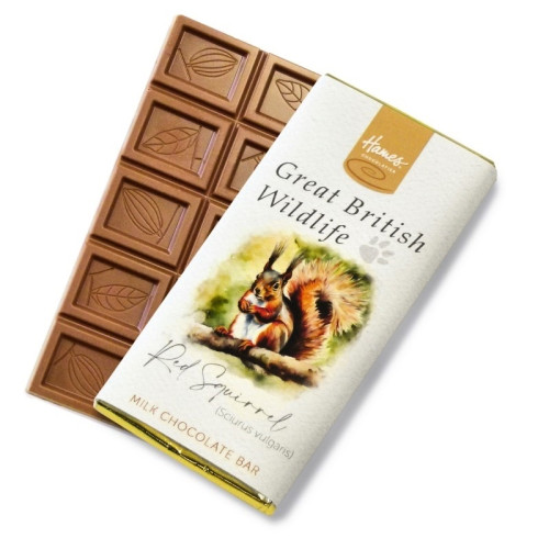 Great British Wildlife RA MB Milk Chocolate 60g Bar Wrapped in Gold Foil with a Red Squirrel Watercolour Design