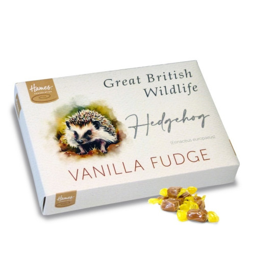 Great British Wildlife Vanilla Fudge Gift Box with a Hedgehog Watercolour Design