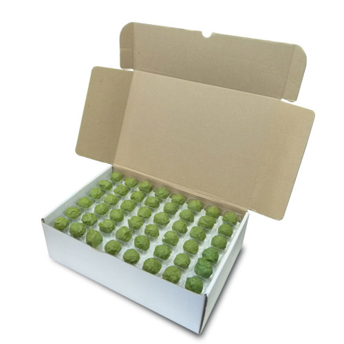 Loose Truffles - Milk Chocolate Sprouts Truffles (96 Chocolates Per Box)