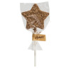 Hames - Milk Chocolate Star Lollipop Covered with Milk Chocolate Flake Decoration x Outer of 27