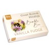 Hames - Great British Wildlife Vanilla Fudge Gift Box with a Bumble Bee Watercolour Design 125g x Outer of 24