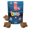 Hames - Solid Milk Chocolate Shaped Owls RA MB Cocoa & 100% Recyclable Pouch 100g x Outer of 9