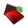 Mint Flavoured Dark Chocolate Neapolitan Finished in Red Foil