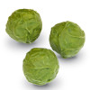 Hames - Luxury Box of 4 Christmas Sprout Truffles Presented In A White Box Finished With A Clear PVC With Merry Christmas Print On Lid
