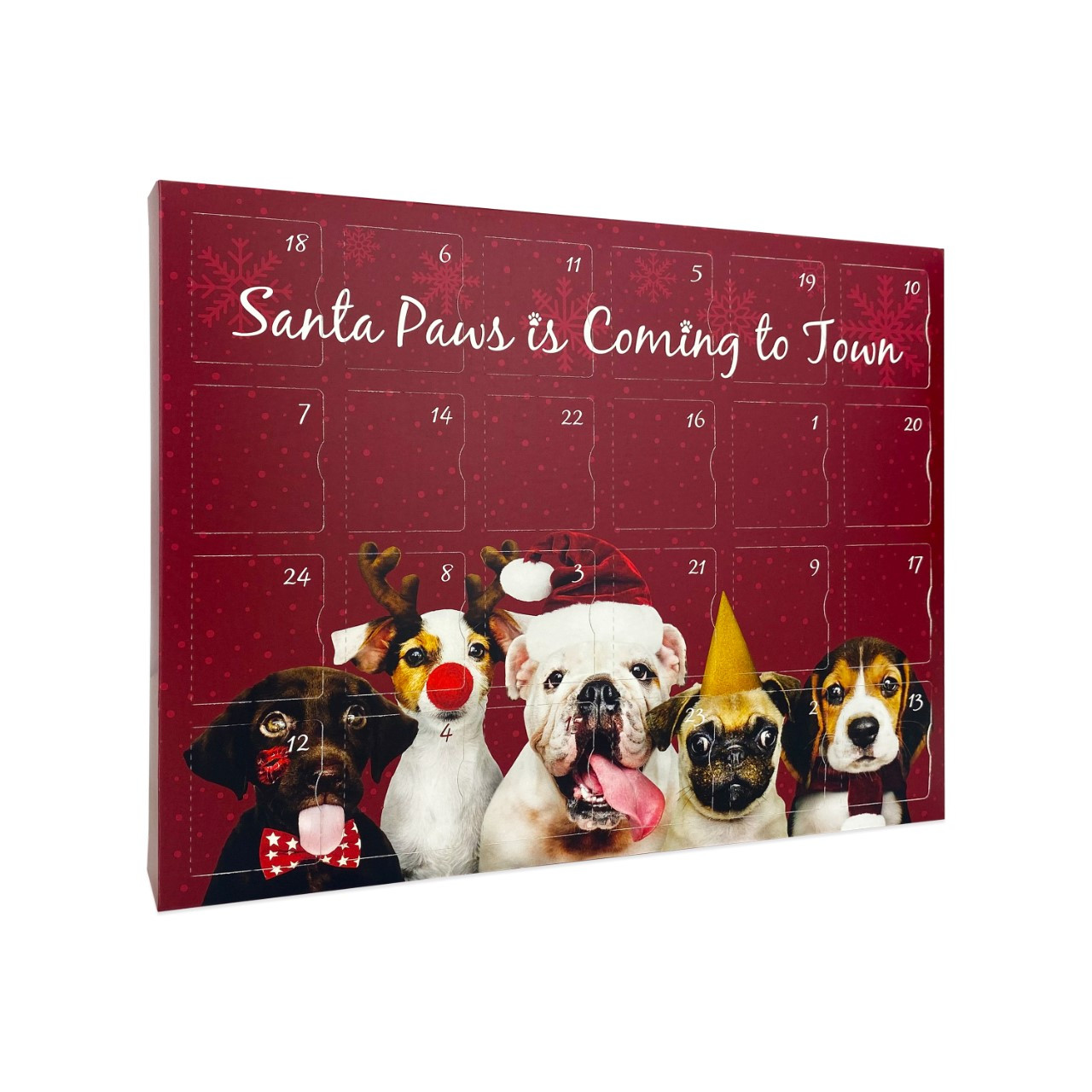 www.HamesChocolates.co.uk - Giant 24 Door Santa Paws Is Coming Advent ...