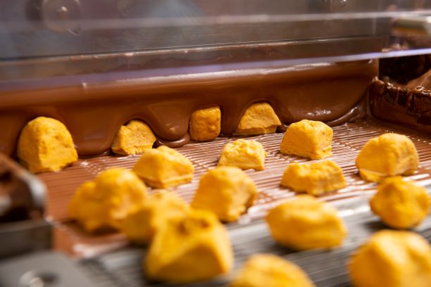 Enrobing-with-Chocolate-Hames